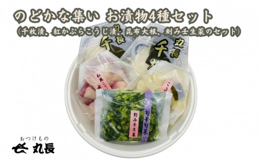 おつけもの丸長 のどかな集い 漬物 4種セット