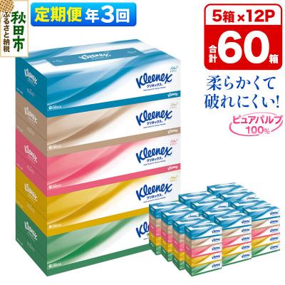 ふるさと納税 秋田市 《3回定期便》クリネックス ティシュー 60箱 ティッシュ|15_nsc-031203