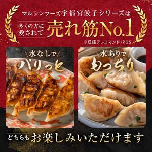 【定期便6回】宇都宮しそ餃子 14個入り×6 ケース(1箱) | マルシン フーズ 餃子 ぎょうざ 点心 おかず 惣菜 特産品 加工品 冷蔵 チルド 食品 つまみ 人気 レシピ スープ 大容量 人気 