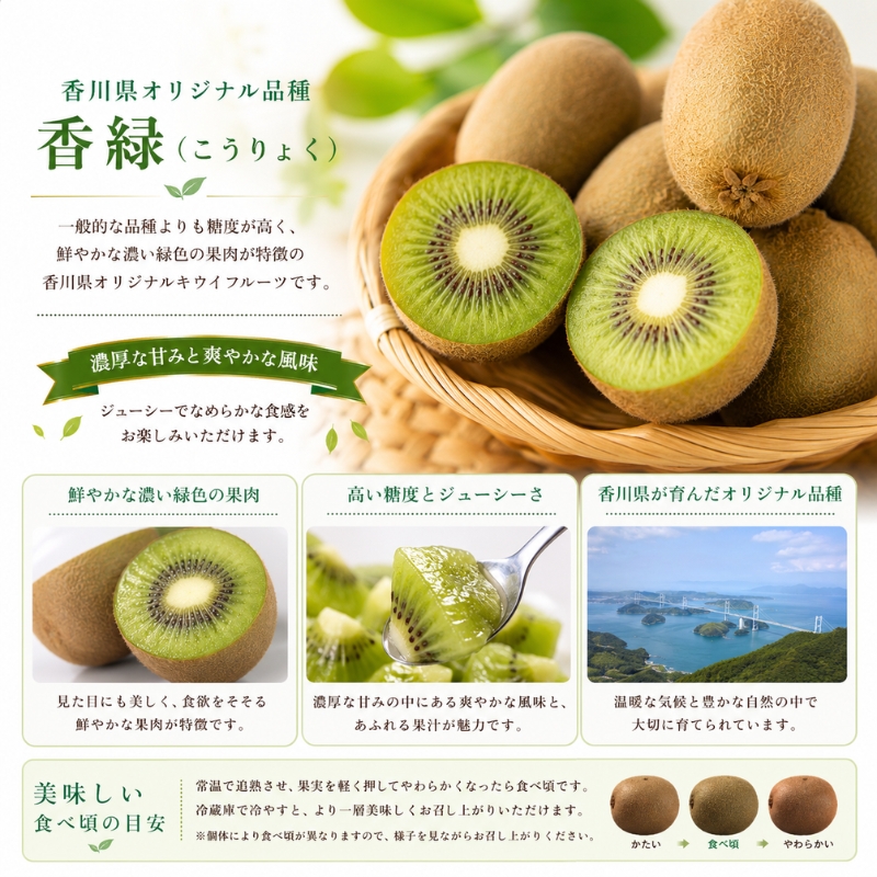 香川オリジナルキウイフルーツ「香緑（こうりょく）」約3kg 果物類 果物詰合せ