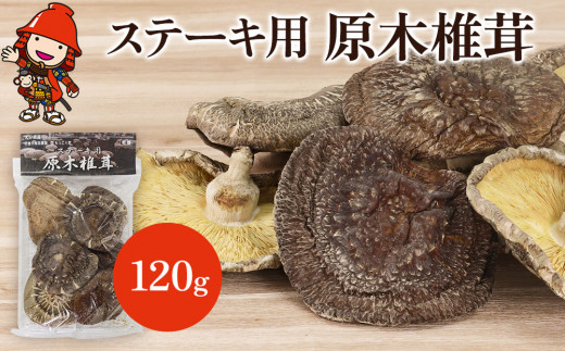 乾燥椎茸 ステーキ用 原木椎茸 80g～120g | きのこ キノコ しいたけ シイタケ 椎茸 原木栽培 乾しいたけ 干し椎茸 干ししいたけ 乾燥しいたけ 干しシイタケ 大分県産 九州産 国産 大分県 中津市