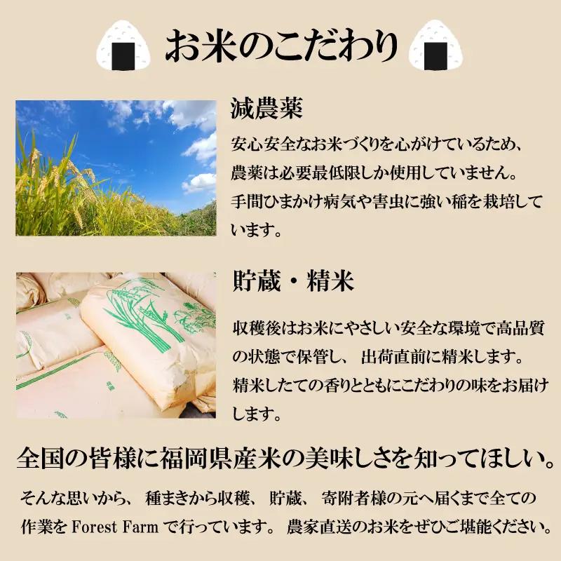 【令和8年産先行予約！2026年10月上旬以降発送】元気つくし 10kg |米 FRF