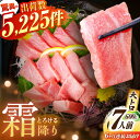 【ふるさと納税】【全6回定期便(月1回)】長崎県産 本マグロ 大トロ皮付き 約600g 【大村湾漁業協同組合】 [BAK029]/ /まぐろ 鮪 さしみ 大人気 おすすめ 刺身 刺し身 冷凍 とろ トロ ブロック 柵 定期便