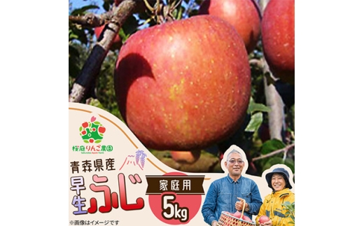 早生ふじ家庭用5kg【1789811】