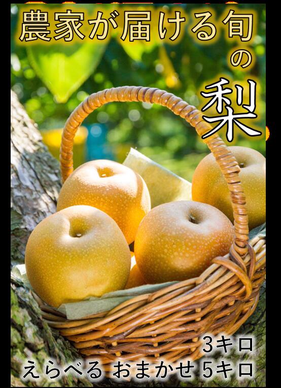 【ふるさと納税】おまかせ梨3/5キロ（農家が、そのとき一番おいしい旬の梨を選んで送ります）梨・なし・ナシ フルーツ 果物 信州産 長野県産 おすすめ 。8月下旬 幸水・豊水、9月中旬 豊水・あきづき・南水、10月中旬 あきづき・南水、11月 南水