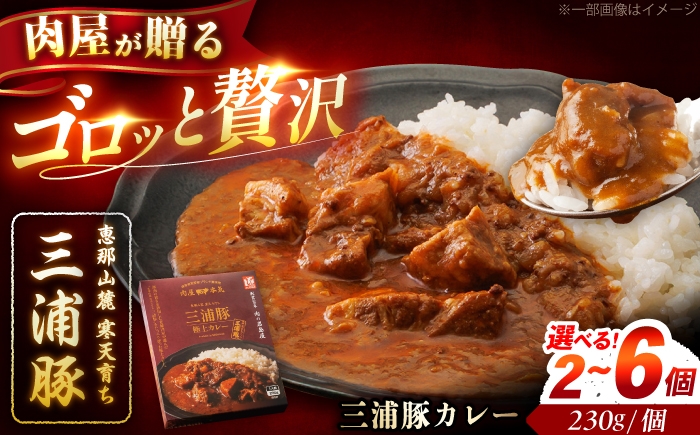 
                  【選べる個数】三浦豚カレー 2個・4個・6個セット (1個あたり230g) / カレー 三浦豚 レトルトカレー セット カレー レトルトカレー 惣菜 お惣菜 豚肉 三浦豚 選べる 個数 防災 保存食 備蓄 災害対策 防災食 非常食 備蓄食 長期保存 恵那市 / 岩島屋[AUAJ056P]
                