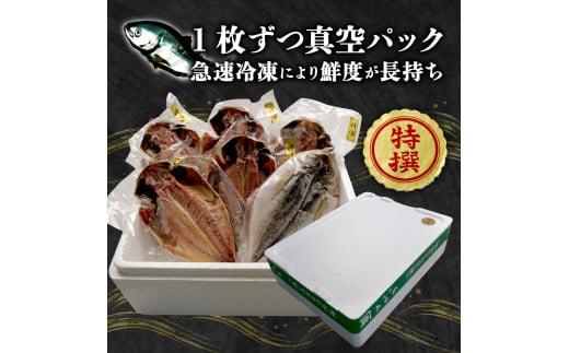 国産 厳選 真アジ 干物 ６枚 旨味 凝縮 減塩 真空 パック 食べやすい ご飯 おかず 小分け 個包装