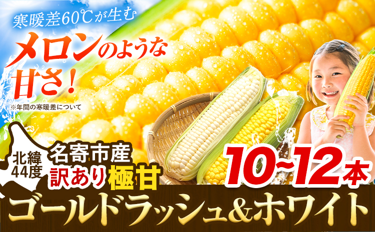 訳あり 極甘 ゴールドラッシュ ホワイト 混合 とうもろこし 10本 ～ 12本 北海道 名寄市産 朝採り 産地直送 生 で食べられる なよろ イエロー なよろ ホワイト コーンスープ 送料無料 おい