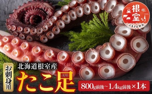 A-70051 【北海道根室産】たこ足800g前後～1.4㎏前後×1本