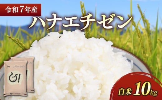新米 令和7年 彦根産 ハナエチゼン 10kg（5kg×2袋）米 お米 白米 精米 こめ コメ おこめ ご飯 ごはん おすすめ はなえちぜん 送料無料 滋賀 彦根 ひこね