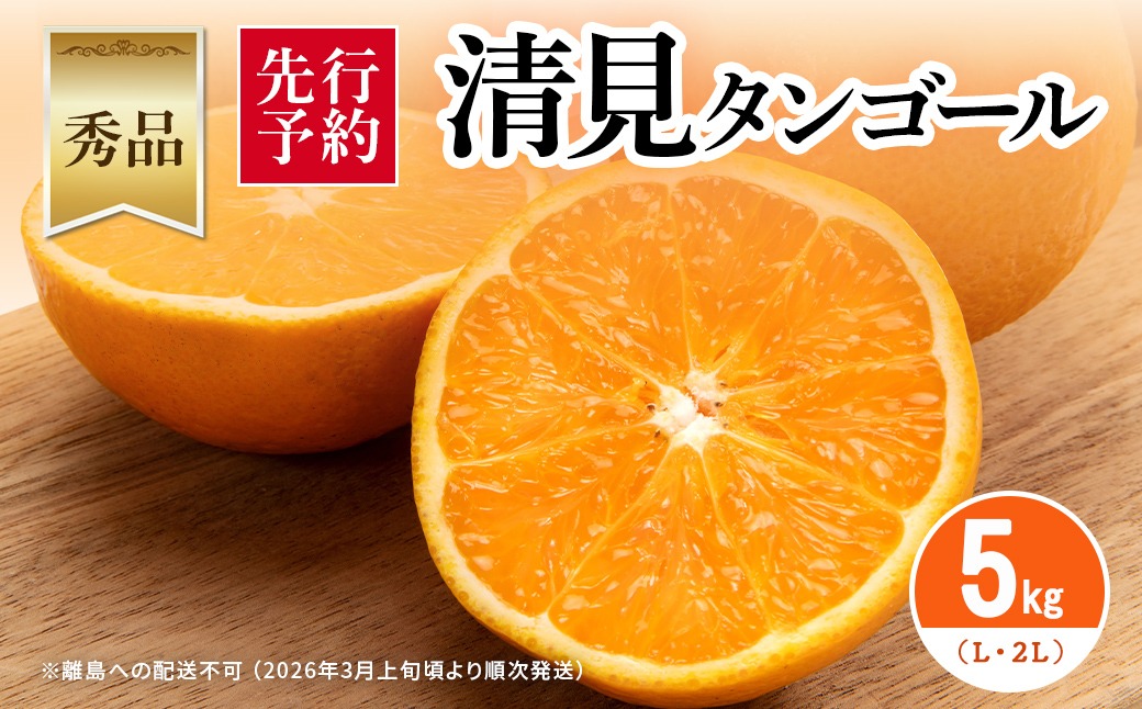 【先行予約】【秀品】清見タンゴール 5kg（L～3L）※離島への配送不可 （2026年3月上旬頃より順次発送） IKTAR012