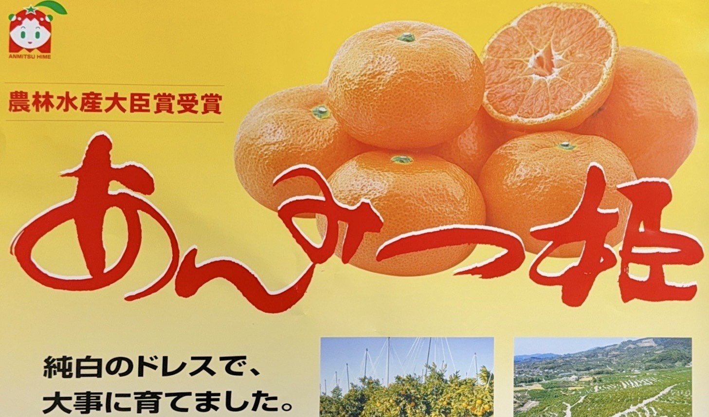 
                  【2026年1月下旬より出荷】農林水産大臣賞受賞　JAさが大和　あんみつ姫　4kg
                