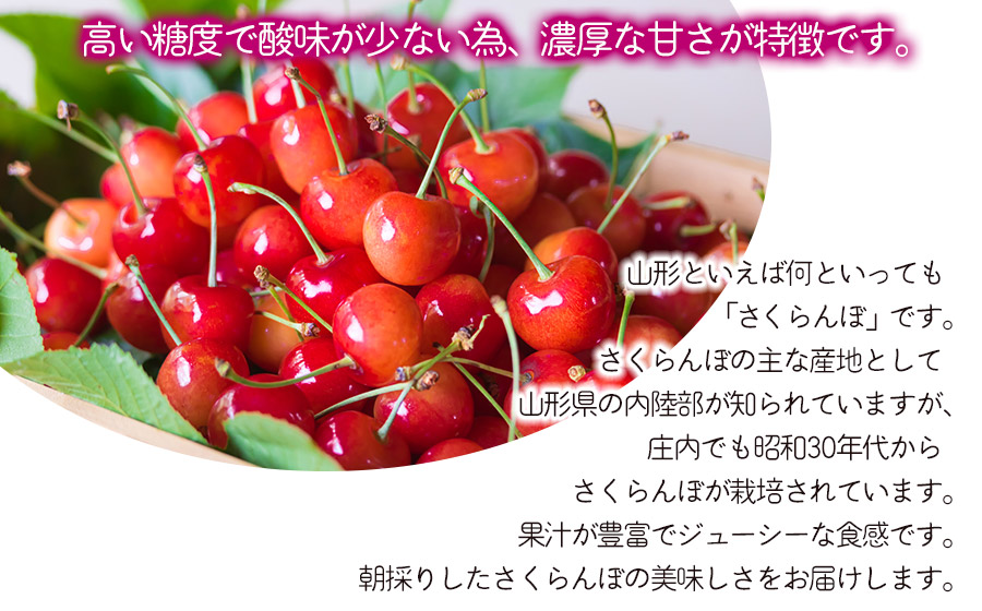 【令和8年産】さくらんぼ 紅秀峰　バラ詰め 1kg　Lサイズ以上　山形県鶴岡市　鶴岡中央青果　| サクランボ チェリー 山形 鶴岡 庄内産 東北 果物 くだもの フルーツ 1キロ 産地直送 旬の果物 