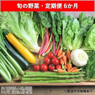 ふるさと納税 安芸高田市 旬の野菜・定期便(6か月)[No5895-0455] | 