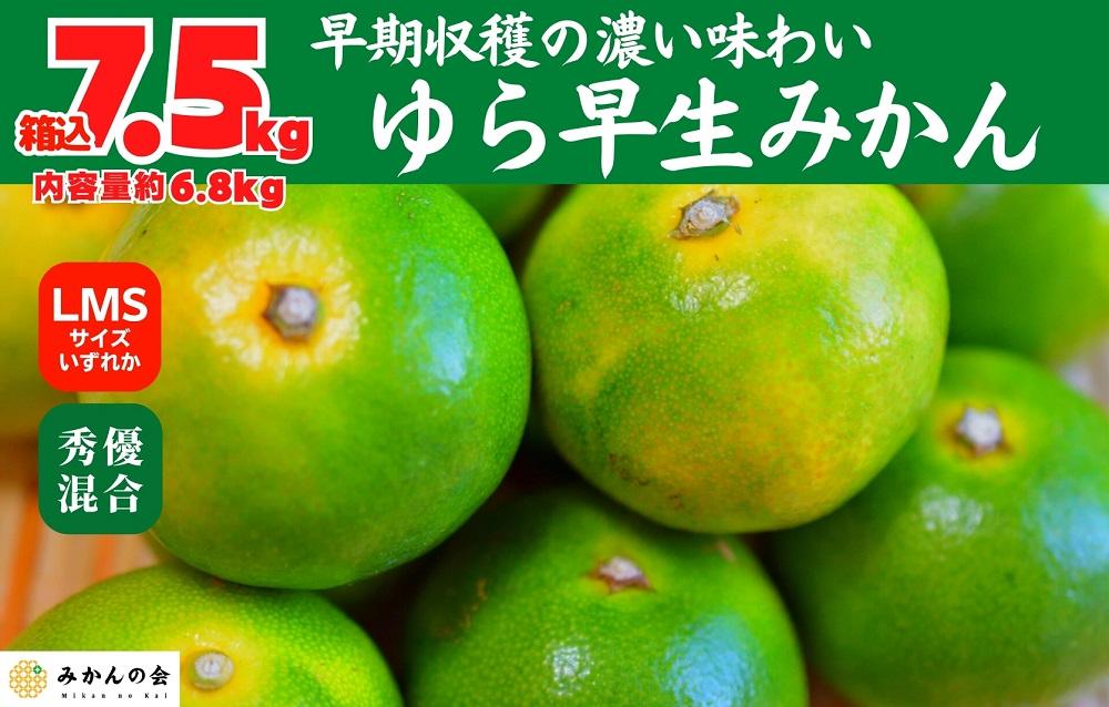 ゆら早生 みかん 箱入7.5kg (内容量 6.8kg) SMLサイズのいずれか 秀品 優品 混合 有田みかん 和歌山県産 【みかんの会】