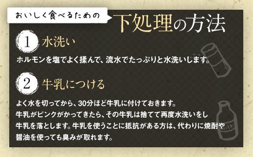 馬モツ鍋セット 3～4人前 まろやか醤油味 （スープ・馬ホルモン）