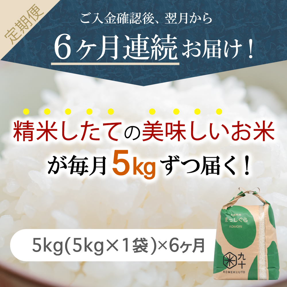 【定期便6ヶ月】令和7年産 米 5kg まっしぐら 青森県産  （精米）