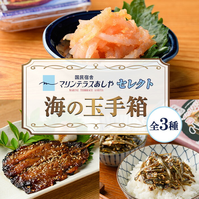 【ふるさと納税】筑前芦屋 海の玉手箱セット(全3種) 明太 明太子 めんたい めんたいこ 海鮮 魚介 魚卵 いか イカ いかめんたい いか明太 いわし イワシ 鰯 いわしみりん あしやみりん みりんぼし いりこ セット 名物 おかず おつまみ 晩酌 冷凍【マリンテラスあしや】