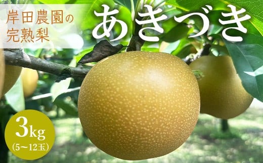 
            【先行予約】岸田農園の完熟梨 あきづき【3kg,5-12玉入り】 | 梨 なし 秋月 果物 フルーツ 完熟 ジューシー 秋 旬 産地直送 期間限定 季節限定 季節商品 送料無料 国産 栃木県 芳賀町 ※2025年9月中旬～9月下旬頃に順次発送予定
          