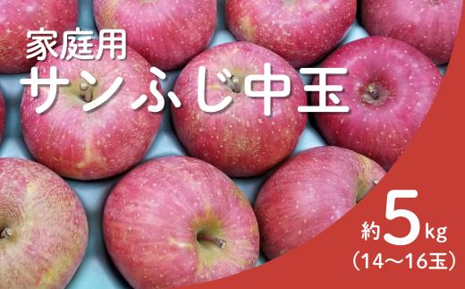 
            KR17-25A りんご サンふじ（中玉）家庭用 約5kg（14～16玉） / 11月下旬頃～配送予定 // 長野県 南信州 リンゴ 林檎 ふじ さんふじ 訳あり 自家用 農家直送 農家支援 産地直送
          