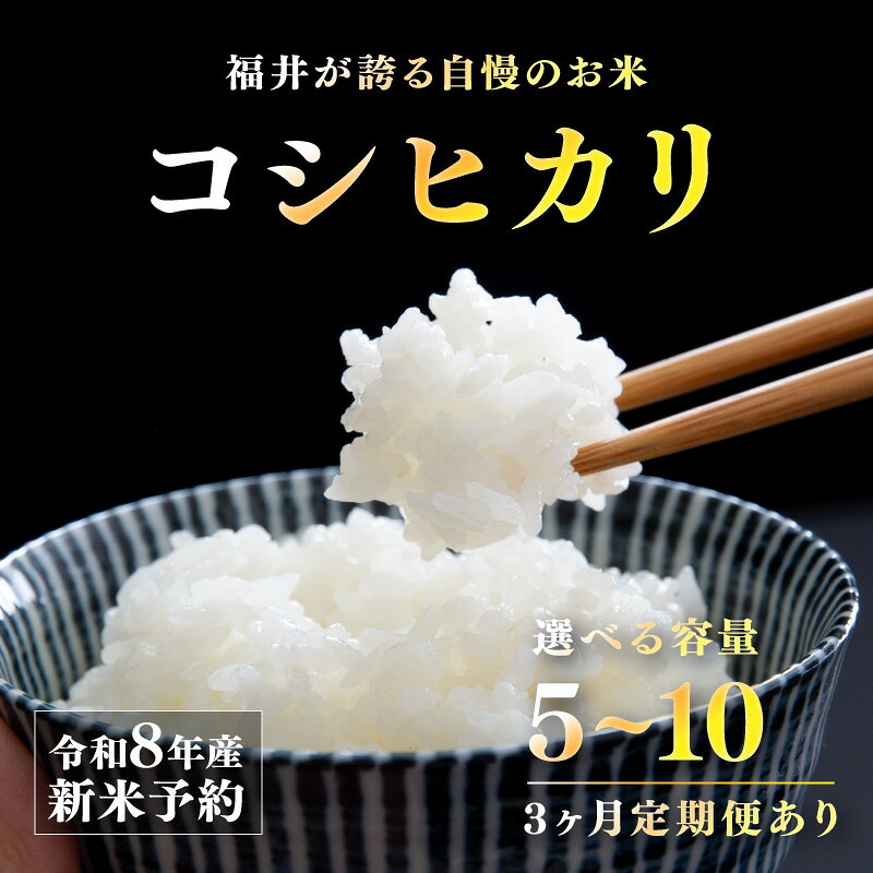 【ふるさと納税】【先行予約】【2026年11月以降順次発送予定】令和8年産 新米 コシヒカリ 5kg / 10kg（5kg×2袋） / 10kg（5kg×2袋）× 3回 [C-10112] / お米 精米 ご飯 こしひかり ごはん 米農家 農業男子 鮮度抜群 定期便 福井県鯖江市