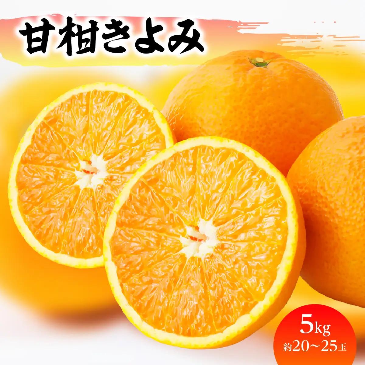 【先行受付】「甘柑きよみ」5kg【C79-27】【1474163】 YWTC023