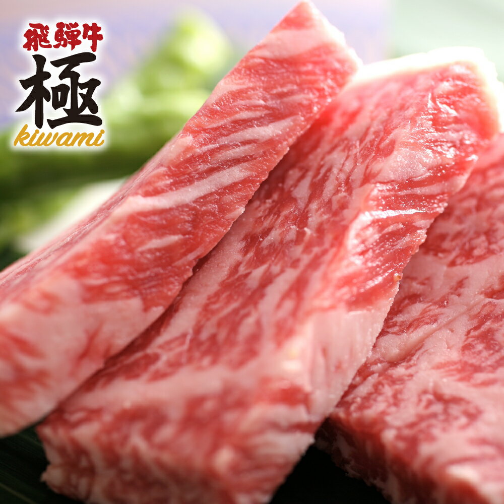 【ふるさと納税】飛騨市推奨特産品飛騨牛 ミニロインステーキ4枚 牛肉 和牛 肉 ステーキ お歳暮 [E0012] 40000円 飛騨市