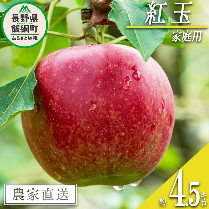 【ふるさと納税】 りんご 紅玉 家庭用 4.5kg 松澤農園 沖縄県への配送不可 令和7年度収穫分 長野県 飯綱町 〔 信州 リンゴ 林檎 果物類 フルーツ 長野 13000円 予約 農家直送 〕発送時期：2025年9月下旬〜2025年10月上旬 {**}