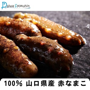 なまこ 500g 冷凍 山口県産ポン酢なまこ JD001-x