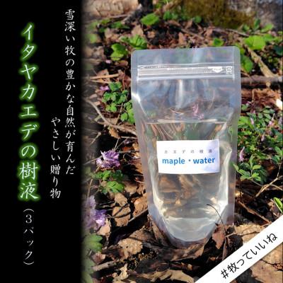 ふるさと納税 上越市 カエデの樹液 300ml×3パック