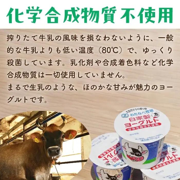【定期便3回】わたなべ牧場のヨーグルトセット ／ 24個 ×3ヵ月 ヨーグルト 加糖 牧場 生乳 こだわり 甘み 搾りたて 安心 自然派 化学合成物質不使用 定期便 島根県 安来市