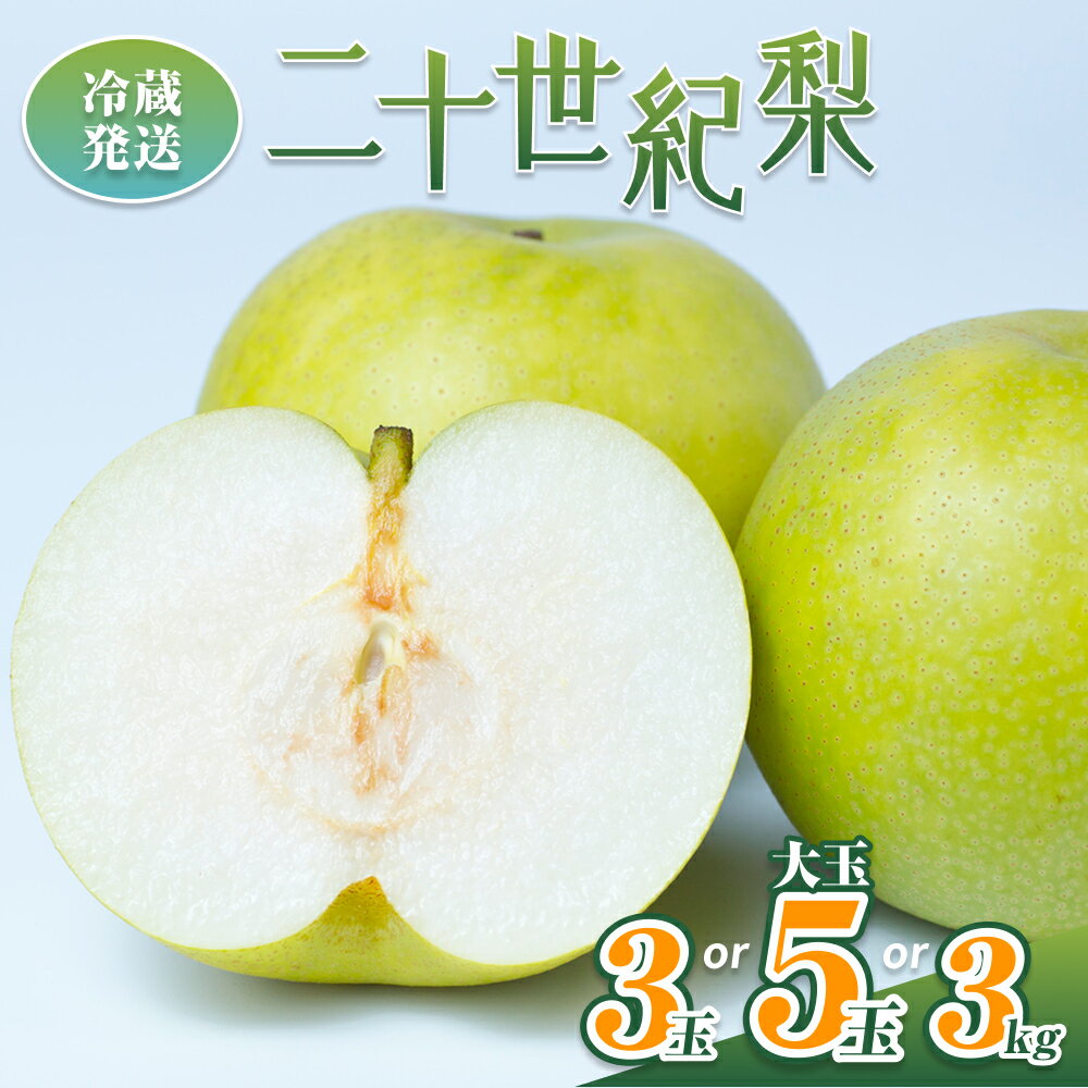 【ふるさと納税】【先行予約】井上農園 梨 ”二十世紀梨” 3玉、5玉、3kg※冷蔵発送｜鳥取 梨 なし ナシ 二十世紀梨 20世紀梨 果物 くだもの 和梨 フルーツ 数量限定 旬※お届けは2026年8月下旬頃～