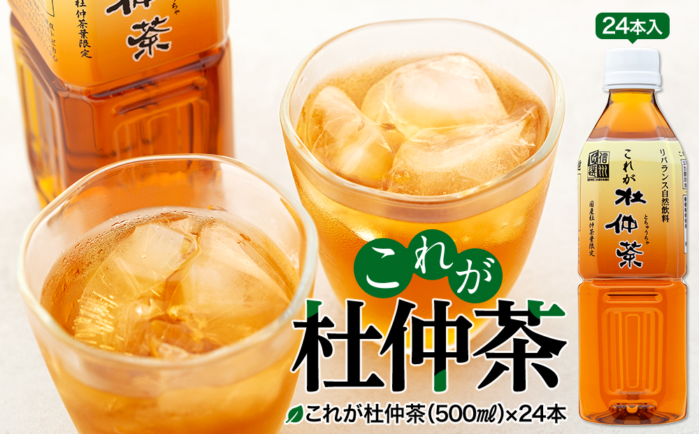 これが杜仲茶 500ml 24本 ペットボトル 杜仲茶 お茶 茶 健康 ノンカフェイン 化学合成農薬不使用 飲料 ドリンク 飲み物 清涼飲料水 信州 長野 長野県