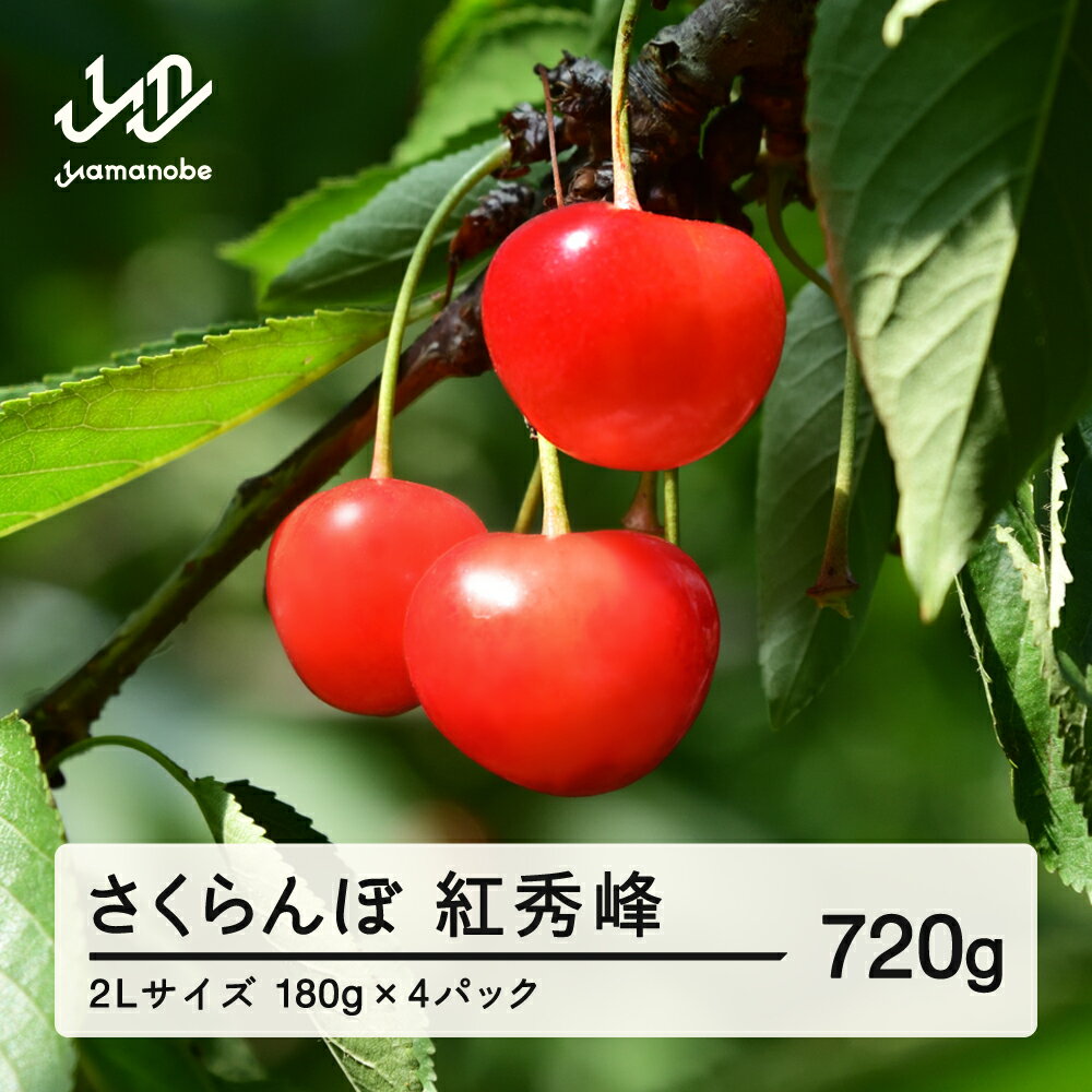 【ふるさと納税】《先行予約》2026年 山形県産 紅秀峰 さくらんぼ 2Lサイズ 180g 4パック入り ※沖縄・離島への配送不可 ts-bs2lp720