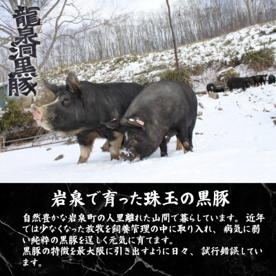 いわいずみ匠の黒豚ハンバーグ【龍泉洞黒豚100%使用】150g×5個【配送不可地域：離島】