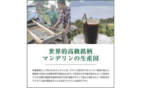 【粉】#906 インドネシア・マンデリン ミトラ G1 コーヒー豆 310g 当日焙煎 大山珈琲