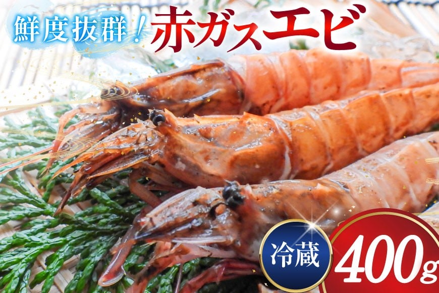 
            超甘！赤ガスエビ 冷蔵 400g [小川水産 石川県 志賀町 CM6002] ガスエビ ガス海老 がすえび トゲザコエビ
          
