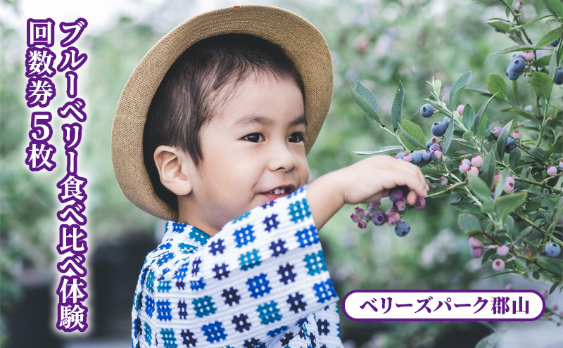 
ブルーベリー食べ比べ体験回数券5枚(大人)
