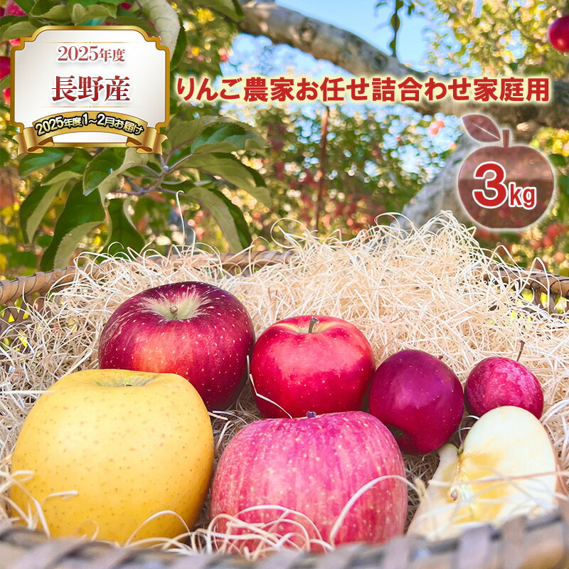 【ふるさと納税】2024年度 長野産（2025年度1～2月お届け）りんご農家お任せ詰合わせ家庭用3kg 果物 フルーツ デザート 食後 濃密 　お届け：2027年1月中旬～2月下旬