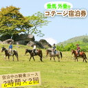 【ふるさと納税】乗馬の外乗付！1泊2日宿泊券（1名様分） 乗馬経験者向け騎乗チケット 体験 レジャー アクティビティ 乗馬 馬 宿泊 宿 【霧島アート牧場】