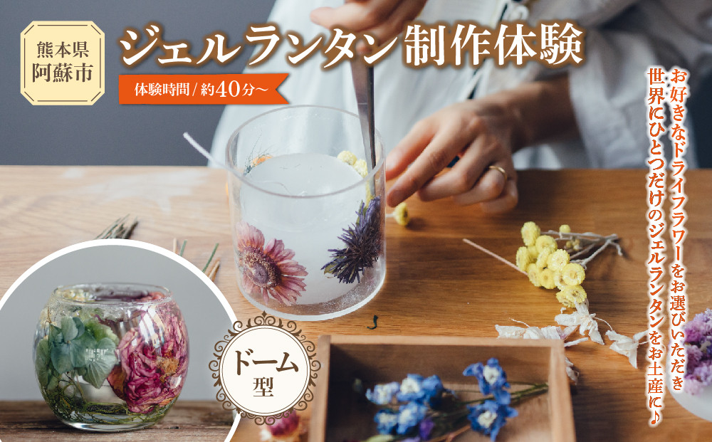 
                  ジェルランタン制作体験 （ドーム型）1つ制作 熊本・阿蘇の草花を使ったお好きなドライフラワーをお選びいただき世界で一つだけのオリジナルキャンドルホルダー制作が出来る ふるさと納税 体験 製作体験 ジェルランタン ランタン オリジナル オリジナルキャンドル キャンドルホルダー キャンドル ドライフラワー 雑貨 手作り KHO  熊本県 阿蘇市
                