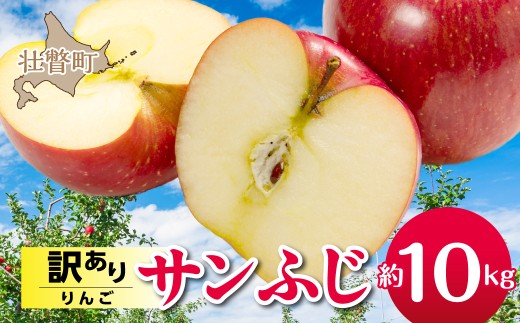 【先行予約】【訳あり】北海道壮瞥町産りんご「サンふじ」約10kg(28～36玉)＜2026年12月上旬よりお届け＞【ふるさと納税 訳あり 人気 おすすめ ランキング りんご リンゴ 林檎 大容量 甘い 蜜入り ジュース 酢 送料無料】 SBTF030
