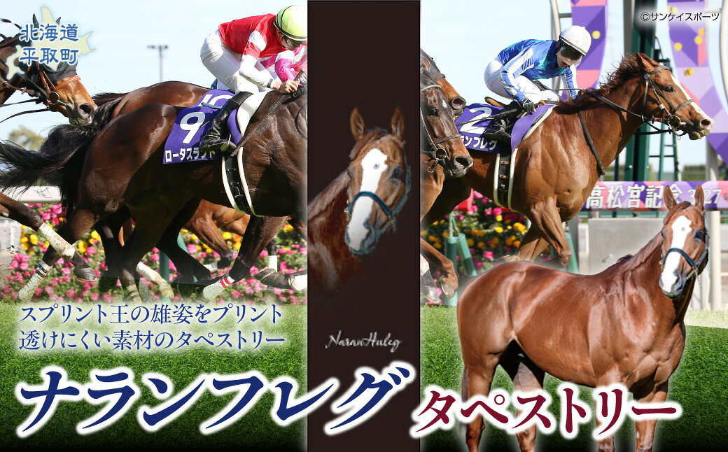 【ふるさと納税】【ナランフレグ】タペストリー 【ふるさと納税 人気 おすすめ ランキング 馬 競馬 競走馬 引退馬 ナランフレグ タペストリー 壁掛け インテリア 飾り 生活 日高 北海道 平取町 送料無料】 BRTV352