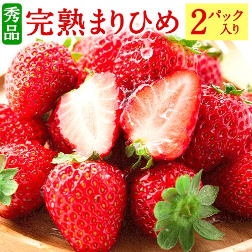 【ふるさと納税】和歌山県産 秀品 完熟まりひめ1箱 (2パック入り) 株式会社松源《2026年1月下旬-3月上旬頃出荷》和歌山県 日高町