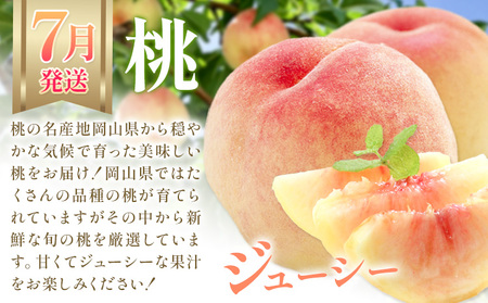 【3か月定期】岡山の果物 3種食べ比べ 計4.1kg【配送不可地域あり】桃 ﾏｽｶｯﾄ