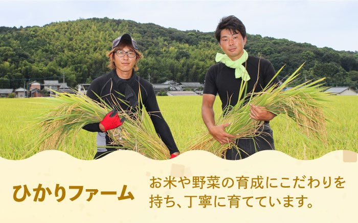 【全3回定期便】【令和6年産】【先行予約】 ひかりファーム の 夢つくし 4kg【2024年10月以降順次発送】《築上町》【ひかりファーム】 [ABAV033] 22000円  22000円 