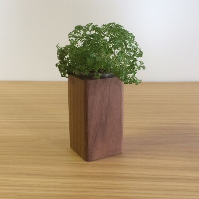 
【かわいい四角い木製ポット】キャンドル・植物どちらでも使えます＜ウォールナット材　オイルフィニッシュ＞ 木製 小物 置物 キャンドルベース キャンドルスタンド 植物 多肉植物 サボテン アロマキャンドル 植物 MUKU屋 MUFactory
