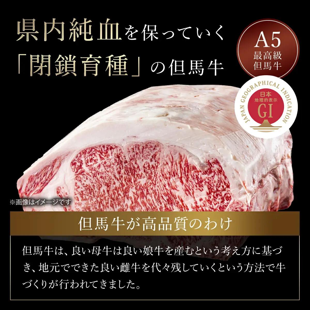 神戸牛肩ロース･但馬牛ももセット【500g×2】タレ付（ぽん酢、胡麻タレ、わりした） AS14K16