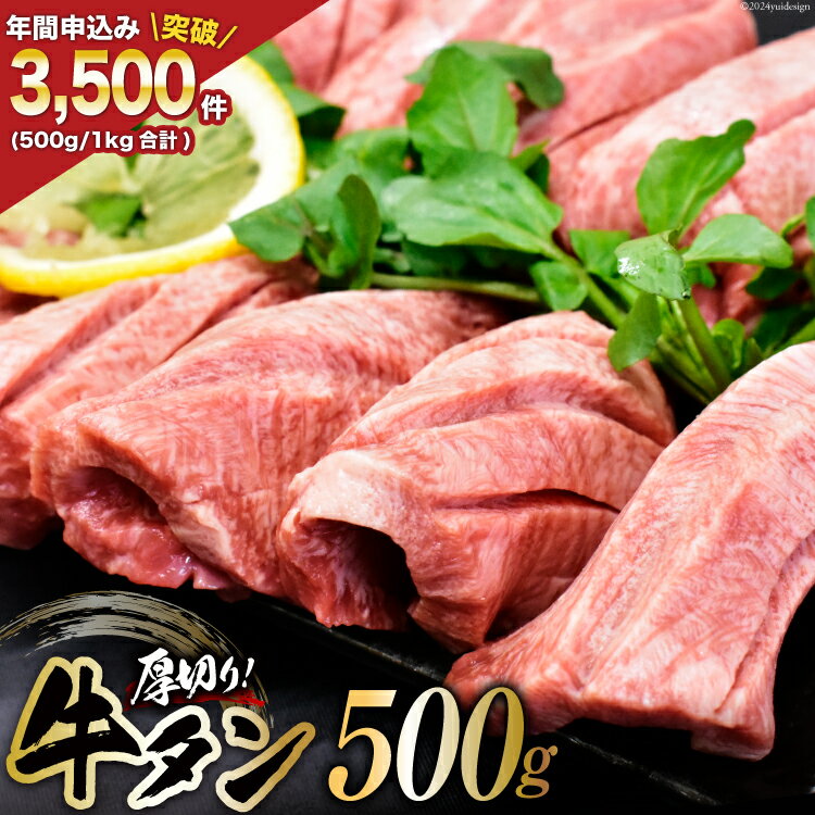 【ふるさと納税】牛タン 三陸岩井崎の塩を使用 厚切り 牛タンスライス 500g [からくわ精肉店 宮城県 気仙沼市 20565163] 肉 牛肉 精肉 牛たん タン スライス 焼肉 牛タン塩 牛たん塩 冷凍