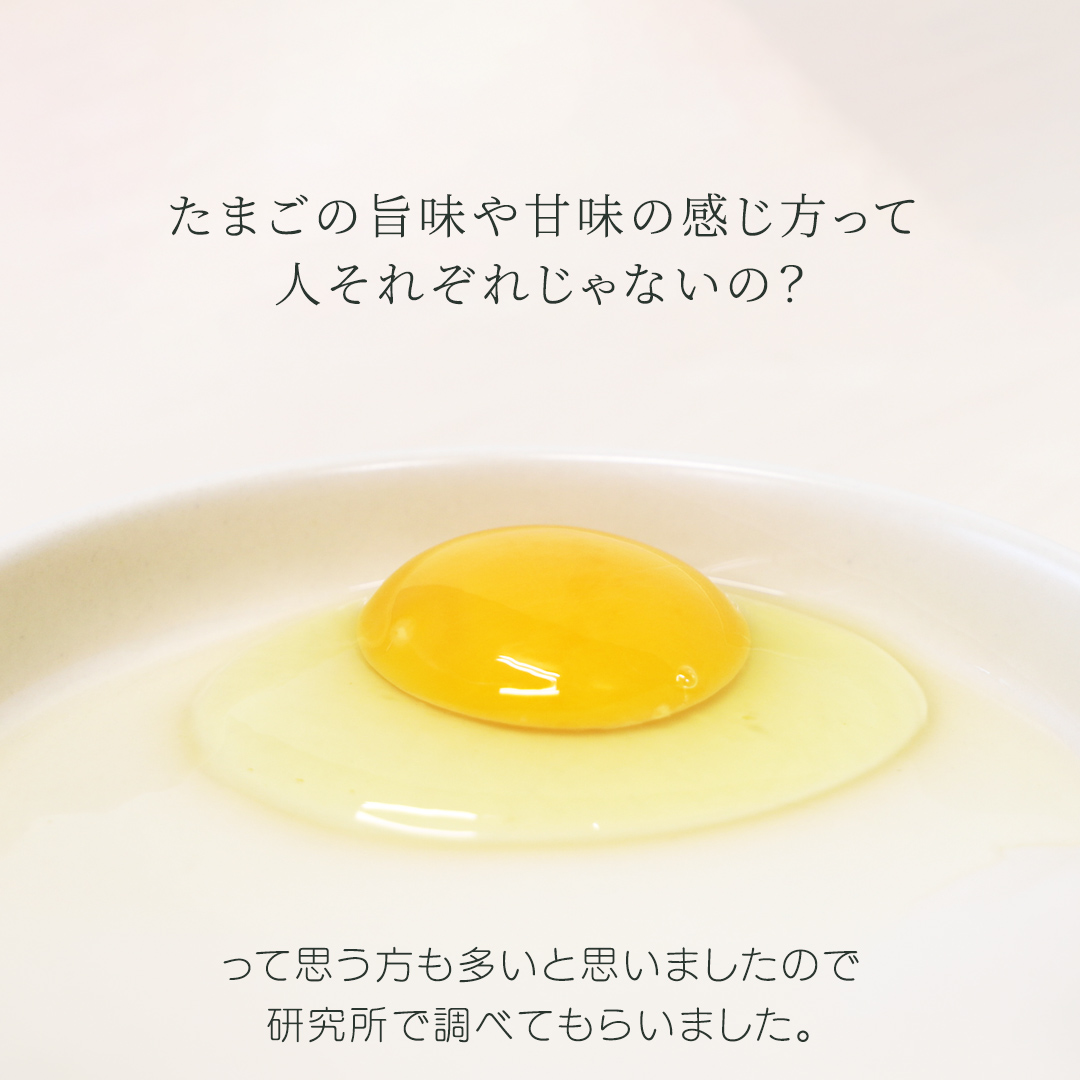 【選べる定期便】卵 玉子 鶏卵 純国産鶏【さくらともみじ】12ヶ月 定期便 たまご 純たまご30個 破損保証5個含む 採れたて 新鮮 農地直送 (AJ034)